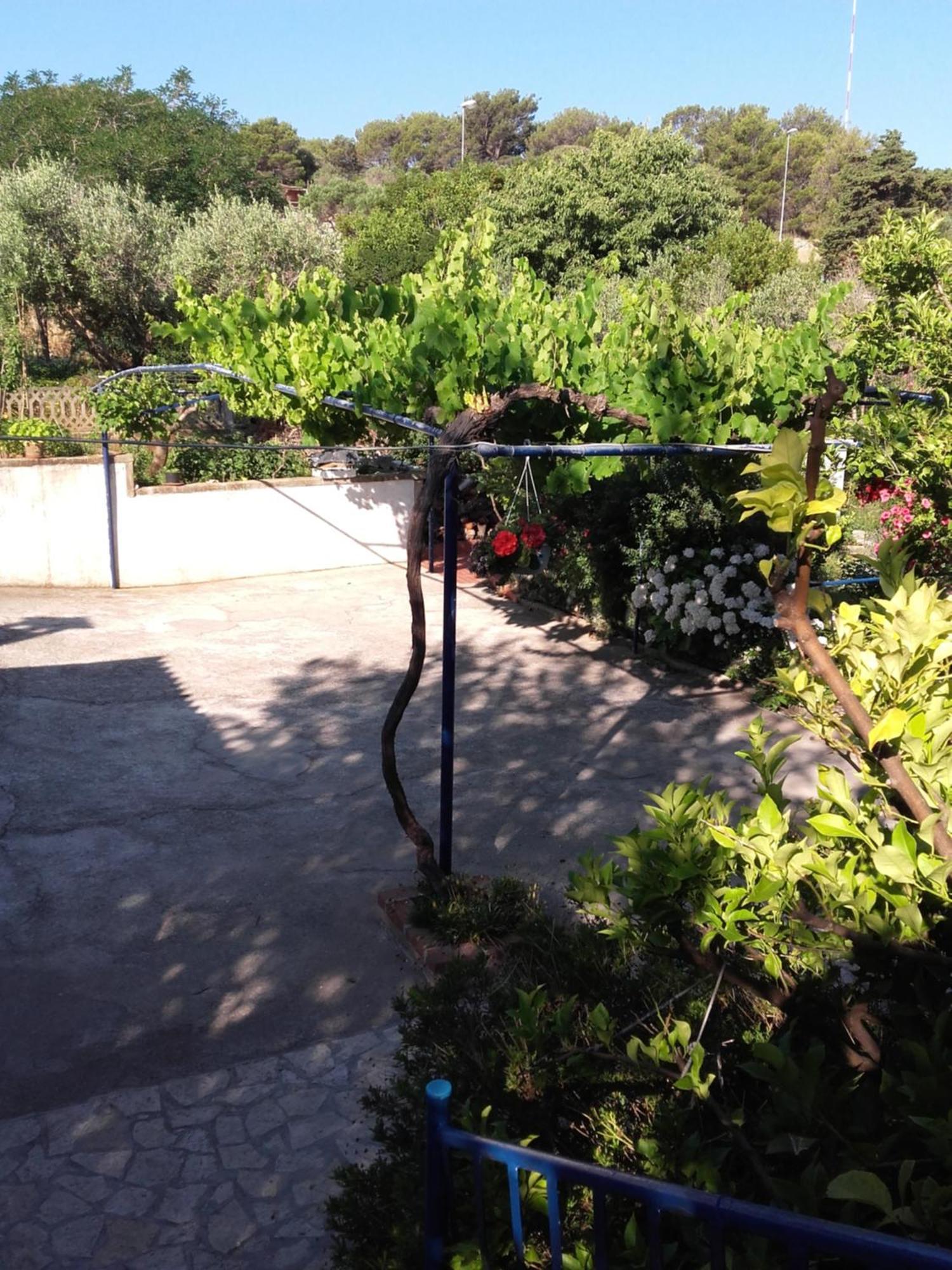 Jolanda * Mali Losinj